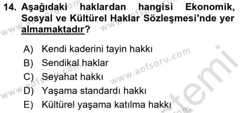 İnsan Hakları Ve Kamu Özgürlükleri Dersi 2023 - 2024 Yılı (Vize) Ara Sınavı 14. Soru