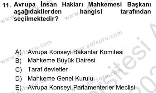 İnsan Hakları Ve Kamu Özgürlükleri Dersi 2023 - 2024 Yılı (Final) Dönem Sonu Sınavı 11. Soru