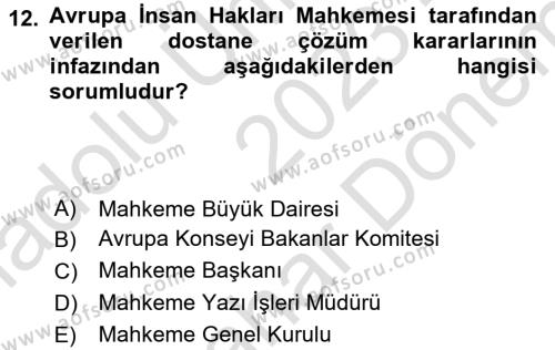 İnsan Hakları Ve Kamu Özgürlükleri Dersi 2023 - 2024 Yılı (Final) Dönem Sonu Sınavı 12. Soru