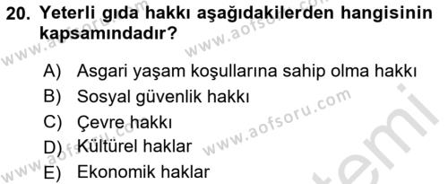 İnsan Hakları Ve Kamu Özgürlükleri Dersi 2023 - 2024 Yılı (Final) Dönem Sonu Sınavı 20. Soru