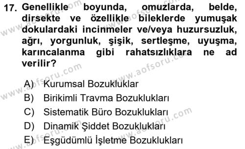 Büro Teknolojileri Dersi 2022 - 2023 Yılı (Final) Dönem Sonu Sınavı 17. Soru