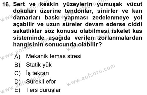 Büro Teknolojileri Dersi 2022 - 2023 Yılı Yaz Okulu Sınavı 16. Soru