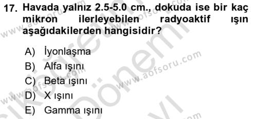 Arama Kurtarma Bilgisi ve Etik Değerler Dersi 2022 - 2023 Yılı (Final) Dönem Sonu Sınavı 17. Soru