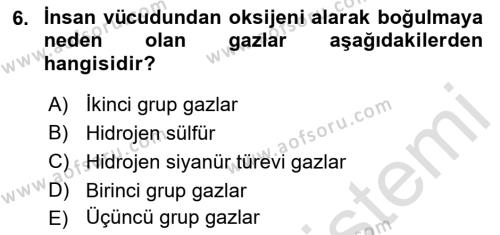 Arama Kurtarma Bilgisi ve Etik Değerler Dersi 2022 - 2023 Yılı (Final) Dönem Sonu Sınavı 6. Soru