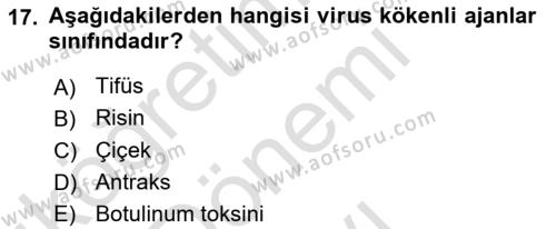 Arama Kurtarma Bilgisi ve Etik Değerler Dersi 2023 - 2024 Yılı (Final) Dönem Sonu Sınavı 17. Soru