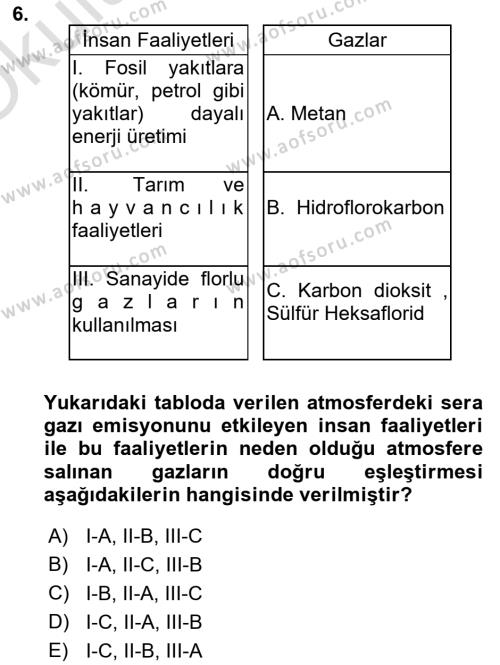 Temel Afet Bilgisi Dersi 2022 - 2023 Yılı Yaz Okulu Sınavı 6. Soru