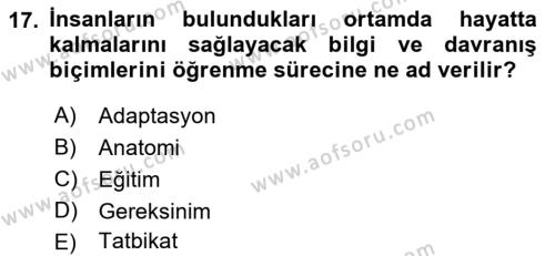 Temel Afet Bilgisi Dersi 2023 - 2024 Yılı (Final) Dönem Sonu Sınavı 17. Soru