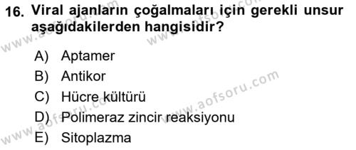 Kbrn Savunma Ve Güvenlik Dersi 2020 - 2021 Yılı Yaz Okulu Sınavı 16. Soru