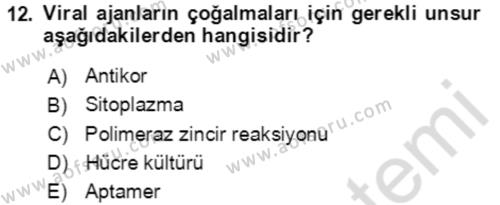 Kbrn Savunma Ve Güvenlik Dersi 2021 - 2022 Yılı (Final) Dönem Sonu Sınavı 12. Soru