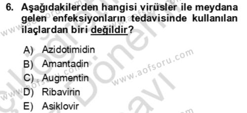 Kbrn Savunma Ve Güvenlik Dersi 2023 - 2024 Yılı (Final) Dönem Sonu Sınavı 6. Soru