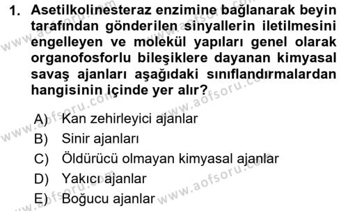 Kbrn Savunma Ve Güvenlik Dersi 2024 - 2025 Yılı (Vize) Ara Sınavı 1. Soru