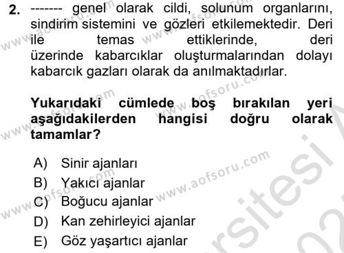 Kbrn Savunma Ve Güvenlik Dersi 2024 - 2025 Yılı (Vize) Ara Sınavı 2. Soru