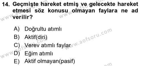 Afet Risk Azaltma Politikaları Dersi 2018 - 2019 Yılı Yaz Okulu Sınavı 14. Soru