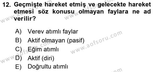 Afet Risk Azaltma Politikaları Dersi 2022 - 2023 Yılı Yaz Okulu Sınavı 12. Soru