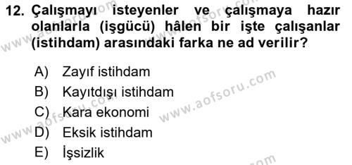 Göç Ve Göç Sorunları Dersi 2018 - 2019 Yılı Yaz Okulu Sınavı 12. Soru