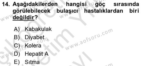 Göç Ve Göç Sorunları Dersi 2020 - 2021 Yılı Yaz Okulu Sınavı 14. Soru