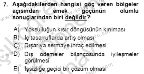 Göç Ve Göç Sorunları Dersi 2021 - 2022 Yılı (Final) Dönem Sonu Sınavı 7. Soru