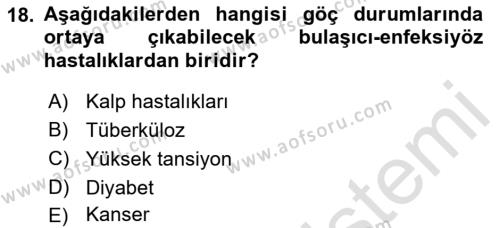 Göç Ve Göç Sorunları Dersi 2021 - 2022 Yılı Yaz Okulu Sınavı 18. Soru