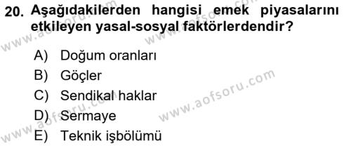 Göç Ve Göç Sorunları Dersi 2021 - 2022 Yılı Yaz Okulu Sınavı 20. Soru