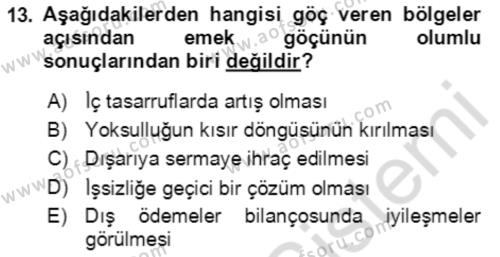 Göç Ve Göç Sorunları Dersi 2022 - 2023 Yılı Yaz Okulu Sınavı 13. Soru