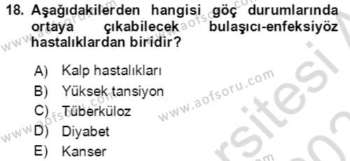 Göç Ve Göç Sorunları Dersi 2022 - 2023 Yılı Yaz Okulu Sınavı 18. Soru