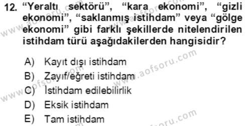 Göç Ve Göç Sorunları Dersi 2023 - 2024 Yılı (Final) Dönem Sonu Sınavı 12. Soru