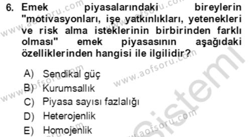 Göç Ve Göç Sorunları Dersi 2023 - 2024 Yılı (Final) Dönem Sonu Sınavı 6. Soru