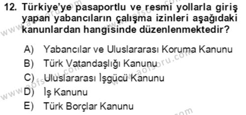 Göç Ve Göç Sorunları Dersi 2023 - 2024 Yılı Yaz Okulu Sınavı 12. Soru