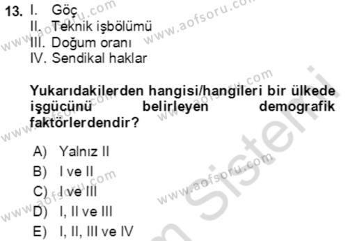 Göç Ve Göç Sorunları Dersi 2023 - 2024 Yılı Yaz Okulu Sınavı 13. Soru