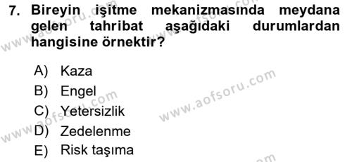 Özel Gereksinimli Bireyler İçin Afet ve Acil Durum Yönetimi Dersi 2021 - 2022 Yılı (Vize) Ara Sınavı 7. Soru