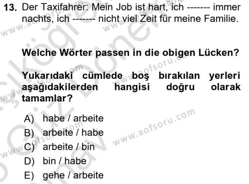 Almanca 1 Dersi 2024 - 2025 Yılı (Vize) Ara Sınavı 13. Soru