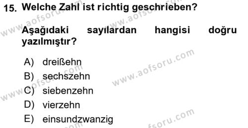 Almanca 1 Dersi 2024 - 2025 Yılı (Vize) Ara Sınavı 15. Soru