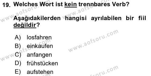 Almanca 1 Dersi 2024 - 2025 Yılı (Vize) Ara Sınavı 19. Soru