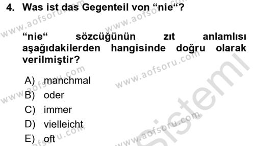 Almanca 1 Dersi 2024 - 2025 Yılı (Vize) Ara Sınavı 4. Soru