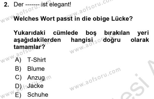 Almanca 2 Dersi 2021 - 2022 Yılı (Final) Dönem Sonu Sınavı 2. Soru