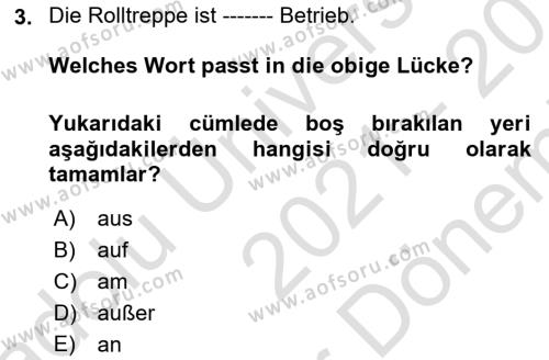 Almanca 2 Dersi 2021 - 2022 Yılı (Final) Dönem Sonu Sınavı 3. Soru