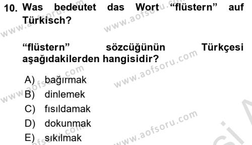 Almanca 2 Dersi 2022 - 2023 Yılı Yaz Okulu Sınavı 10. Soru