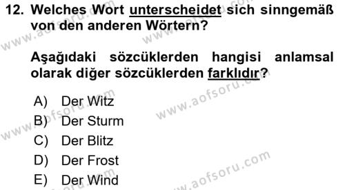 Almanca 2 Dersi 2022 - 2023 Yılı Yaz Okulu Sınavı 12. Soru