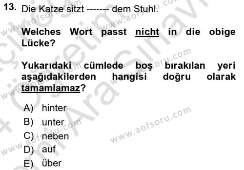 Almanca 2 Dersi 2023 - 2024 Yılı (Vize) Ara Sınavı 13. Soru