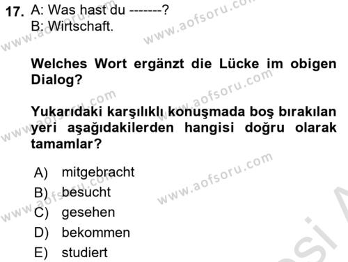 Almanca 2 Dersi 2023 - 2024 Yılı (Vize) Ara Sınavı 17. Soru