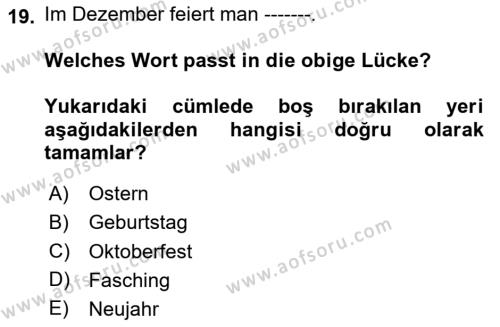 Almanca 2 Dersi 2023 - 2024 Yılı (Vize) Ara Sınavı 19. Soru