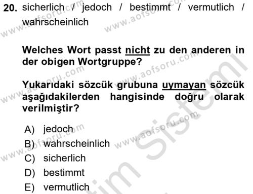 Almanca 2 Dersi 2023 - 2024 Yılı (Vize) Ara Sınavı 20. Soru