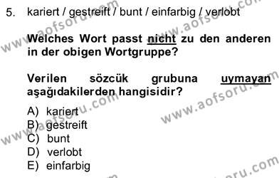 Almanca 4 Dersi 2012 - 2013 Yılı (Vize) Ara Sınavı 5. Soru