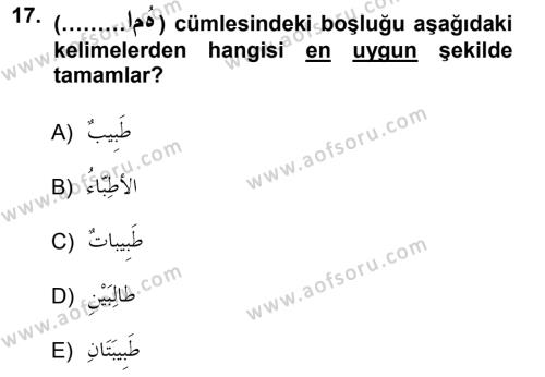 Arapça 1 Dersi 2012 - 2013 Yılı (Vize) Ara Sınavı 17. Soru