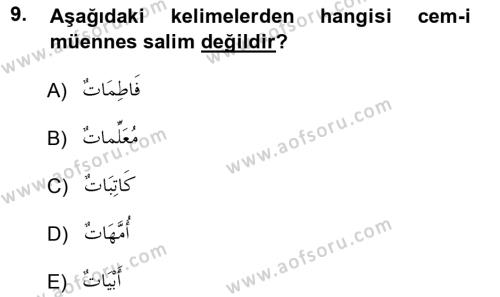 Arapça 1 Dersi 2012 - 2013 Yılı (Vize) Ara Sınavı 9. Soru