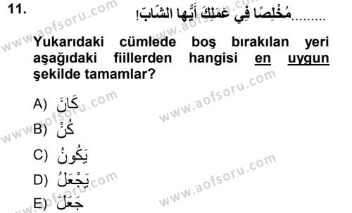 Arapça 1 Dersi 2012 - 2013 Yılı (Final) Dönem Sonu Sınavı 11. Soru