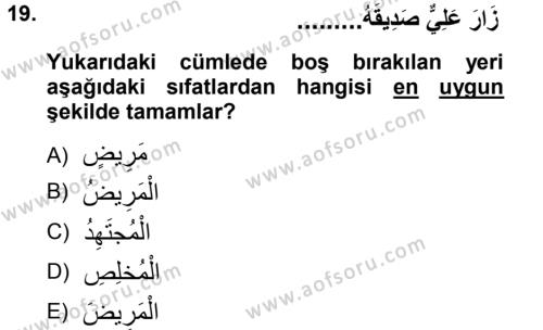 Arapça 1 Dersi 2012 - 2013 Yılı (Final) Dönem Sonu Sınavı 19. Soru