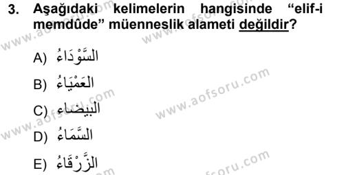 Arapça 1 Dersi 2012 - 2013 Yılı (Final) Dönem Sonu Sınavı 3. Soru