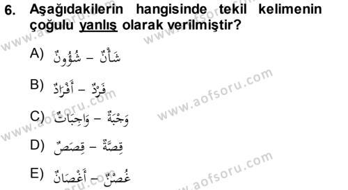 Arapça 1 Dersi 2013 - 2014 Yılı (Vize) Ara Sınavı 6. Soru