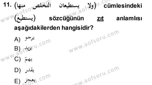 Arapça 1 Dersi 2013 - 2014 Yılı (Final) Dönem Sonu Sınavı 11. Soru